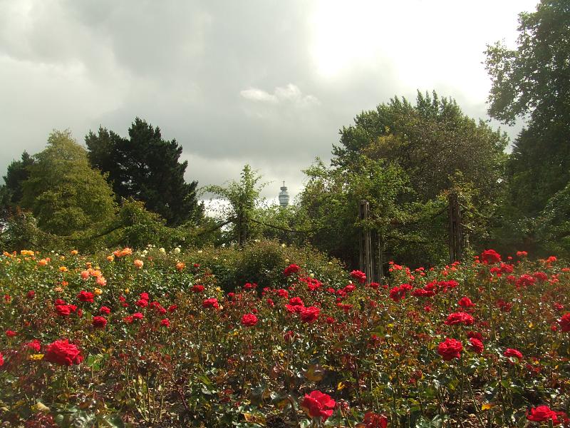 Queen Mary's Rose Garden
