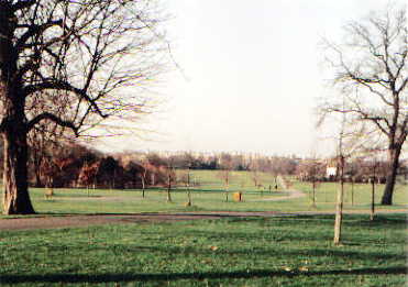 Looking west from the Broad Walk