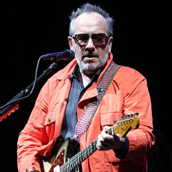 Image of Elvis Costello