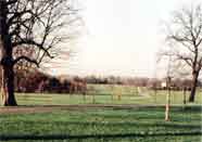 Looking west from the Broad Walk